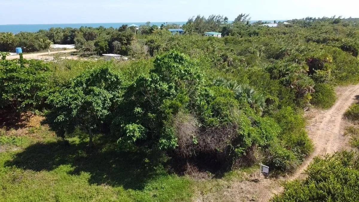 Caribbean Way Residential Lots Available in Placencia  !!