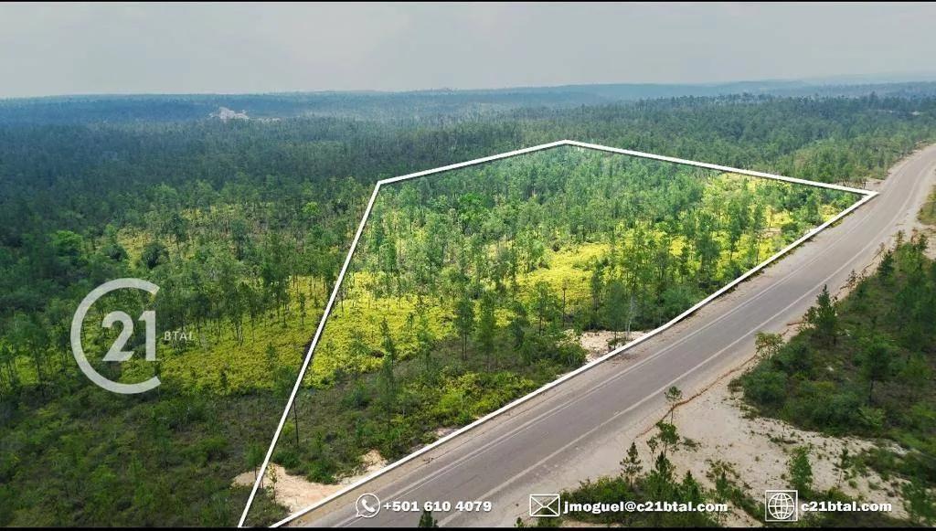 Serene and Expansive 9.78 Acres on Caracol Road, Just Minutes from Big Rock Waterfall! - Photo 2