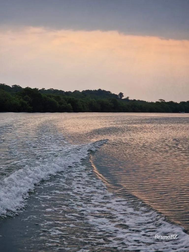 "Prime Riverside Majesty: 50 Acres of Untouched land in the Moho River, Toledo District"