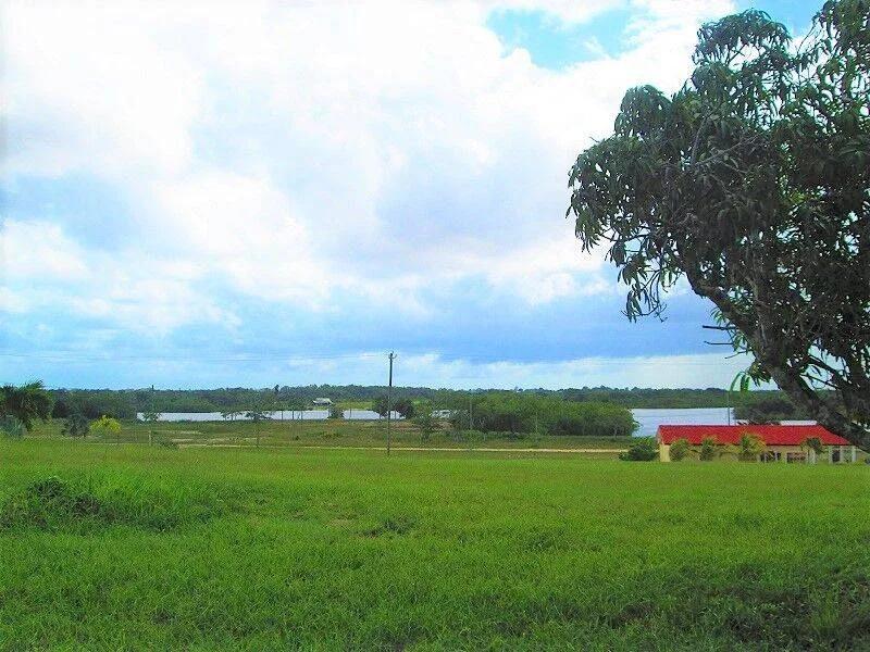 Progresso Heights Lot 75ft x 135 ft - Photo 4