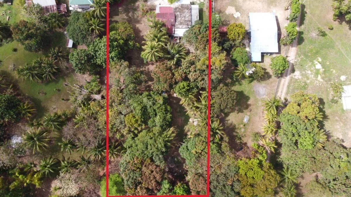 0.92 acres in the heart of Jacintoville (Toledo) - Photo 5