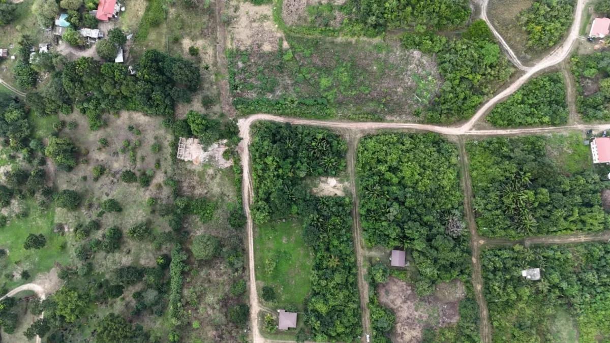 469.837 sq. m. Residential Lot in Belmopan – Mountain View - Photo 4