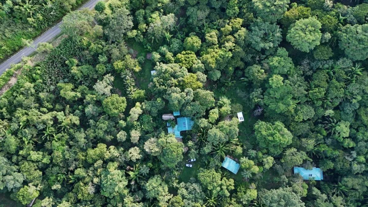 Fantastic 51.42-Acre Farm for Sale – The Farm Inn, Toledo, Belize