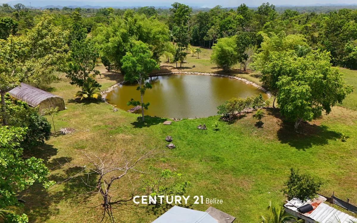 Prime 20-Acre Land with Two Homes and Commercial Potential - Photo 7