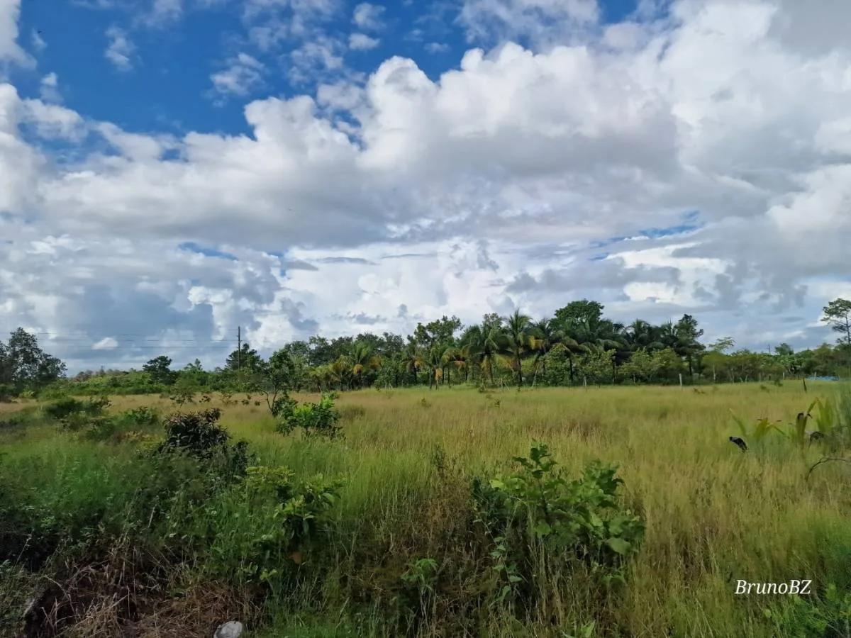 1 acre investment property in Bella Vista (Toledo) For Sale! - Photo 3
