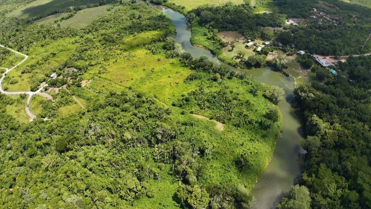 Riverfront Acreage - Teakettle Village, Cayo District - Photo 5