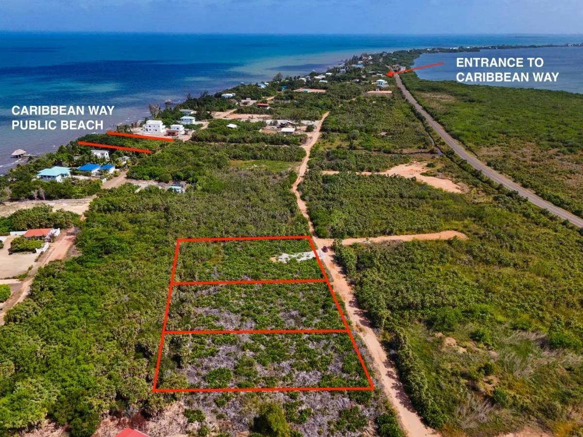 Large Caribbean Way Lots - Photo 4