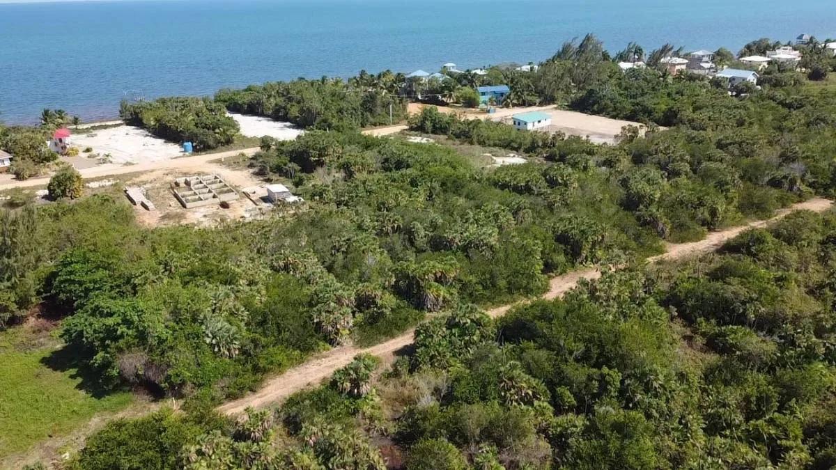 Caribbean Way Residential Lots Available in Placencia  !! - Photo 5