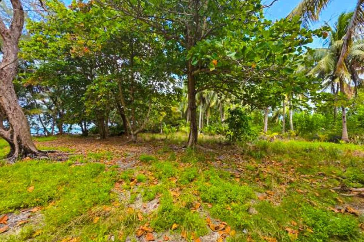 1.4-Acre Private Island for Sale | Buttonwood Caye, Placencia, Belize - Photo 2