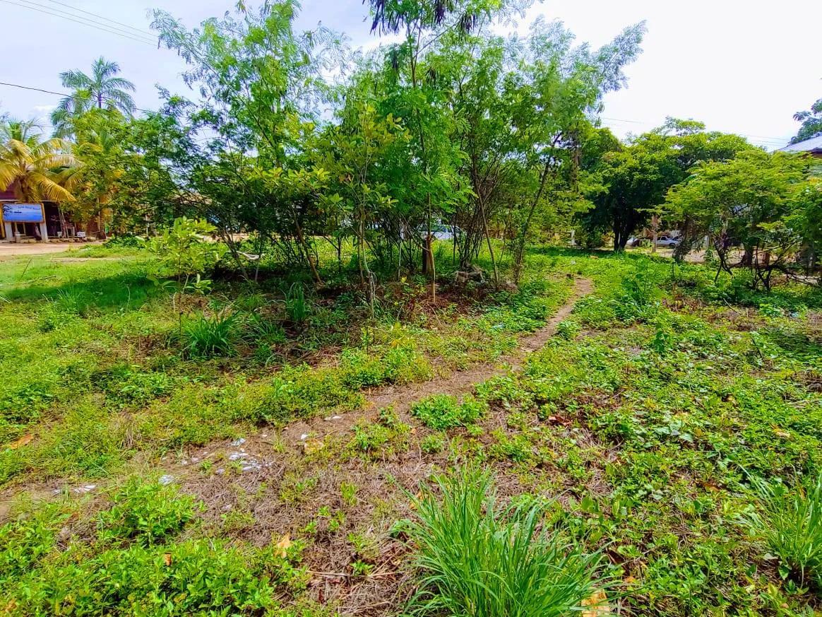 Available for sale, 3 lots footsteps to the warm water of the Caribbean Sea and ready for building - Photo 7