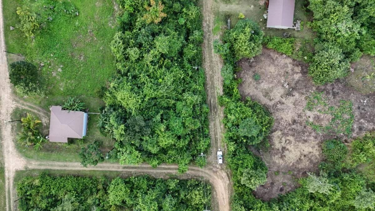 469.837Sq.m. of Prime Residential Lot in Belmopan - Photo 8