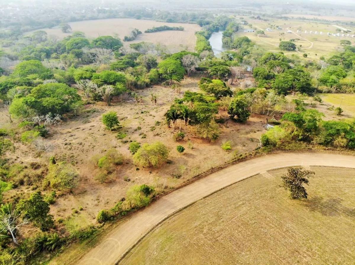12.76 Acre River Front Property In Cayo - Photo 5