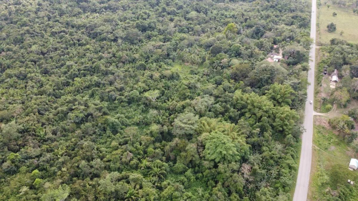 Gorgeous 93 acres, prime location in Crique Troso/Mafredi FOR SALE! - Photo 7