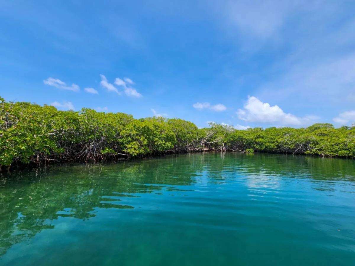 Two Exquisite Parcels on Saddle Caye - Photo 8