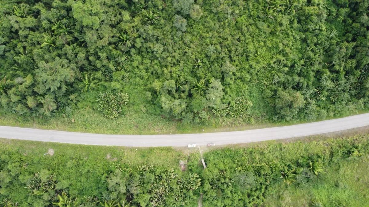 Gorgeous 93 acres, prime location in Crique Troso/Mafredi FOR SALE! - Photo 2