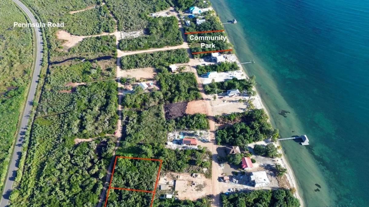 Paradise Found: Caribbean Way Estates - Photo 3