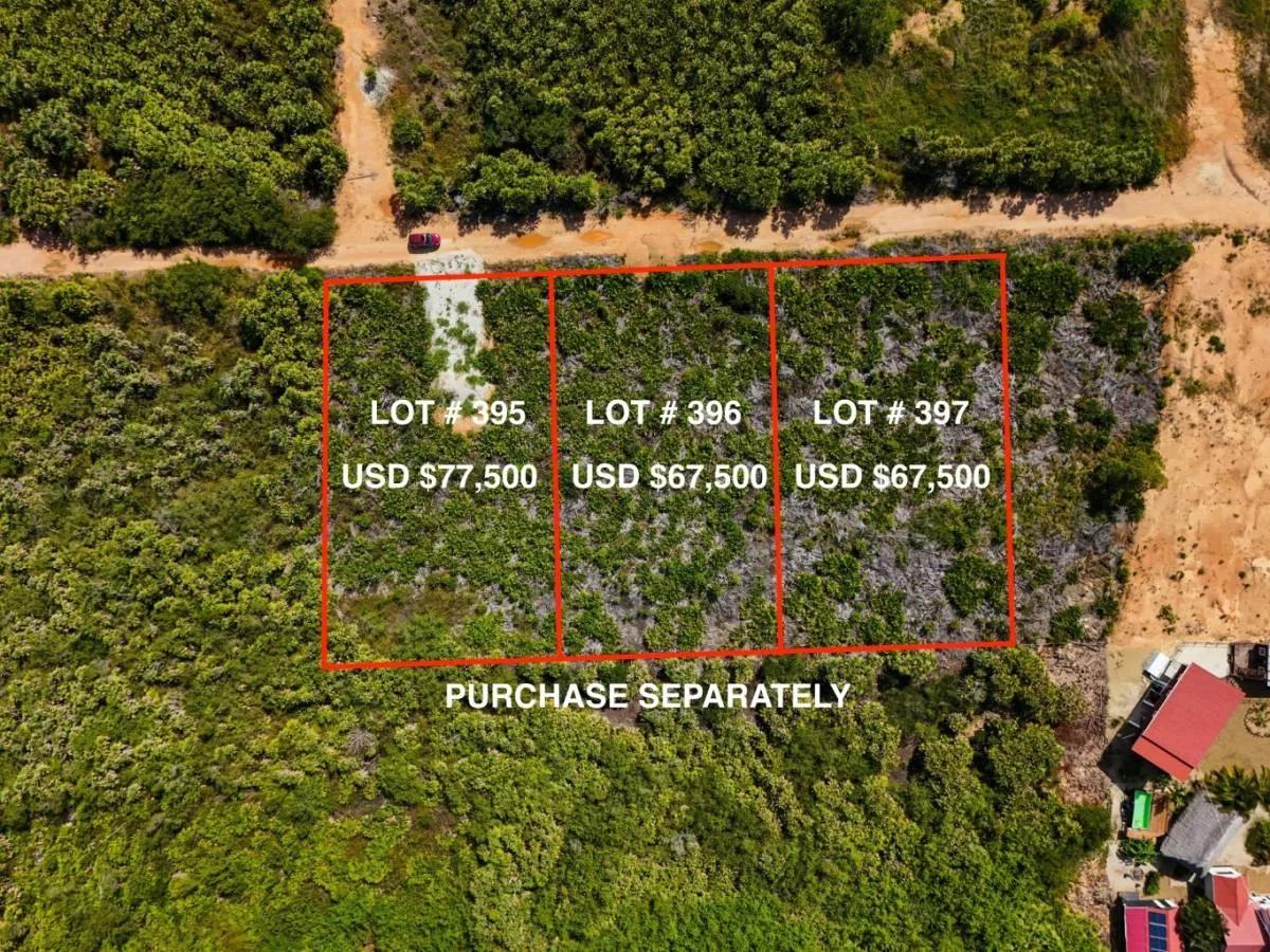 Large Caribbean Way Lots
