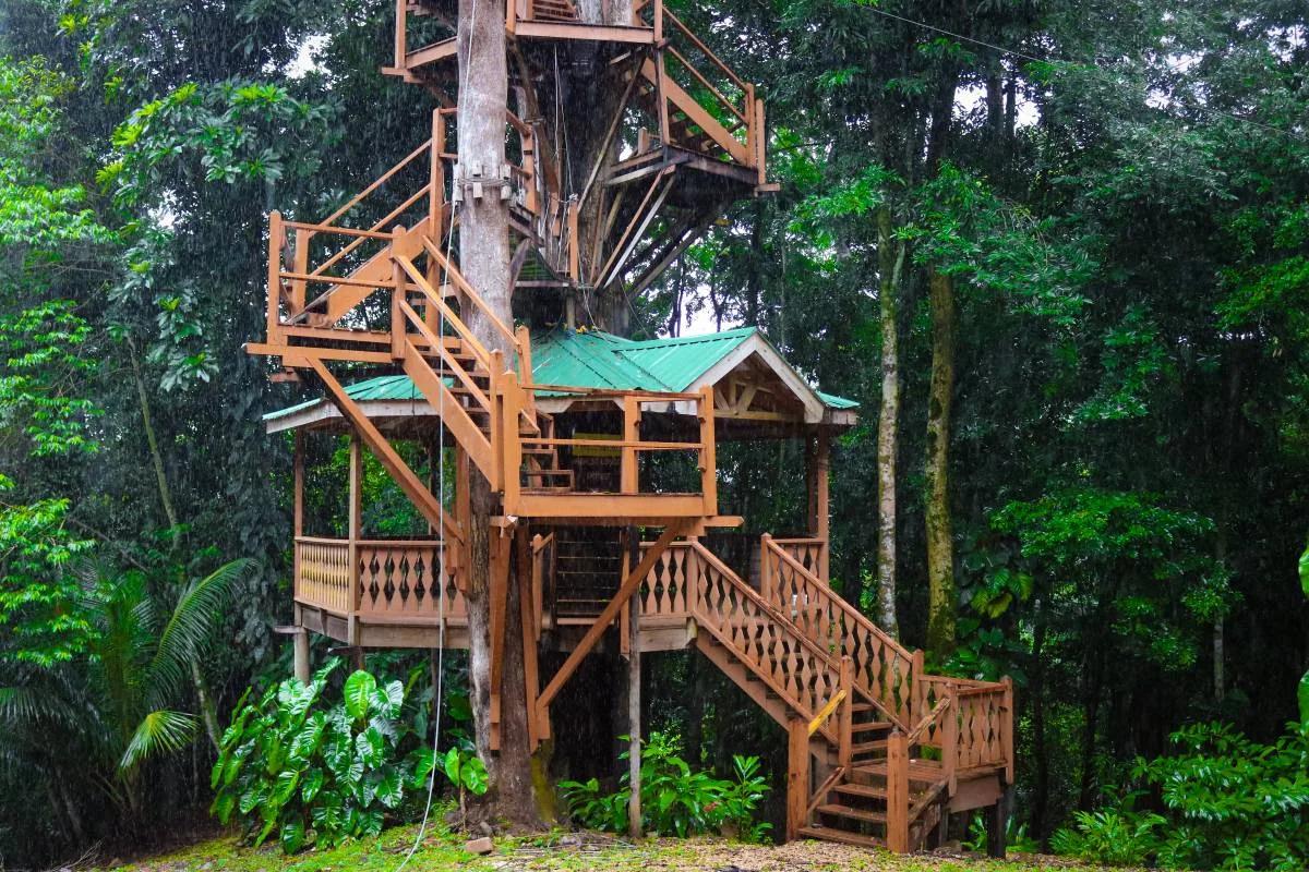 Prime Real Estate | 199 Acres Along Belize’s Iconic Hummingbird Highway - Photo 7