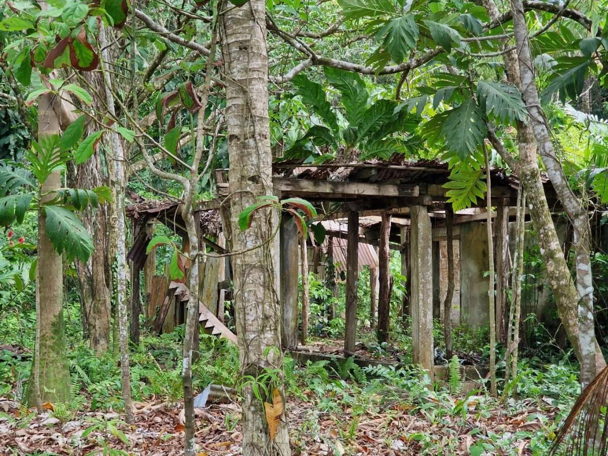 Searching for prime waterfront land for sale in Toledo ideal for development in a tranquil location? - Photo 8