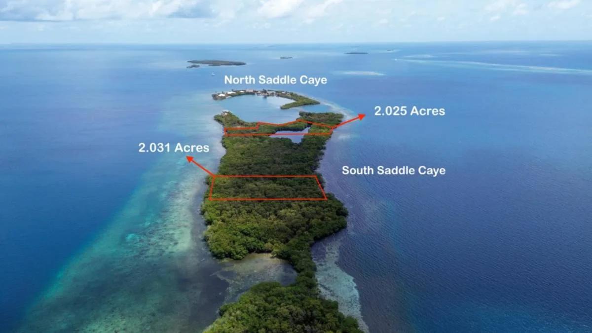 Two Exquisite Parcels on Saddle Caye - Photo 2