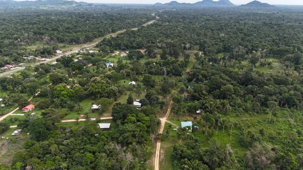 Beautiful 4 parcels high, dry land ready for development in Toledo, Belize - Photo 4