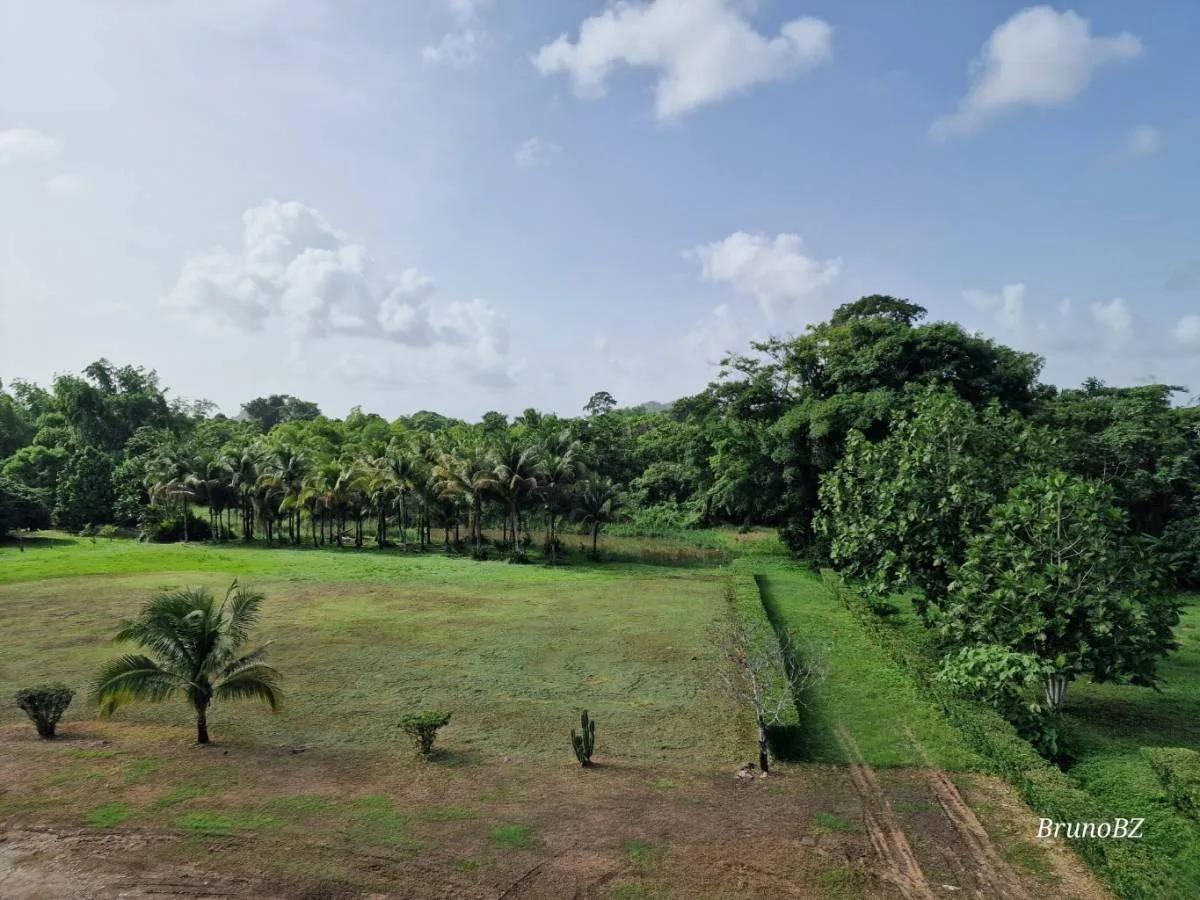 Rare Investment Opportunity Motel and Development Land (251 acres) in Southern Belize - Photo 7