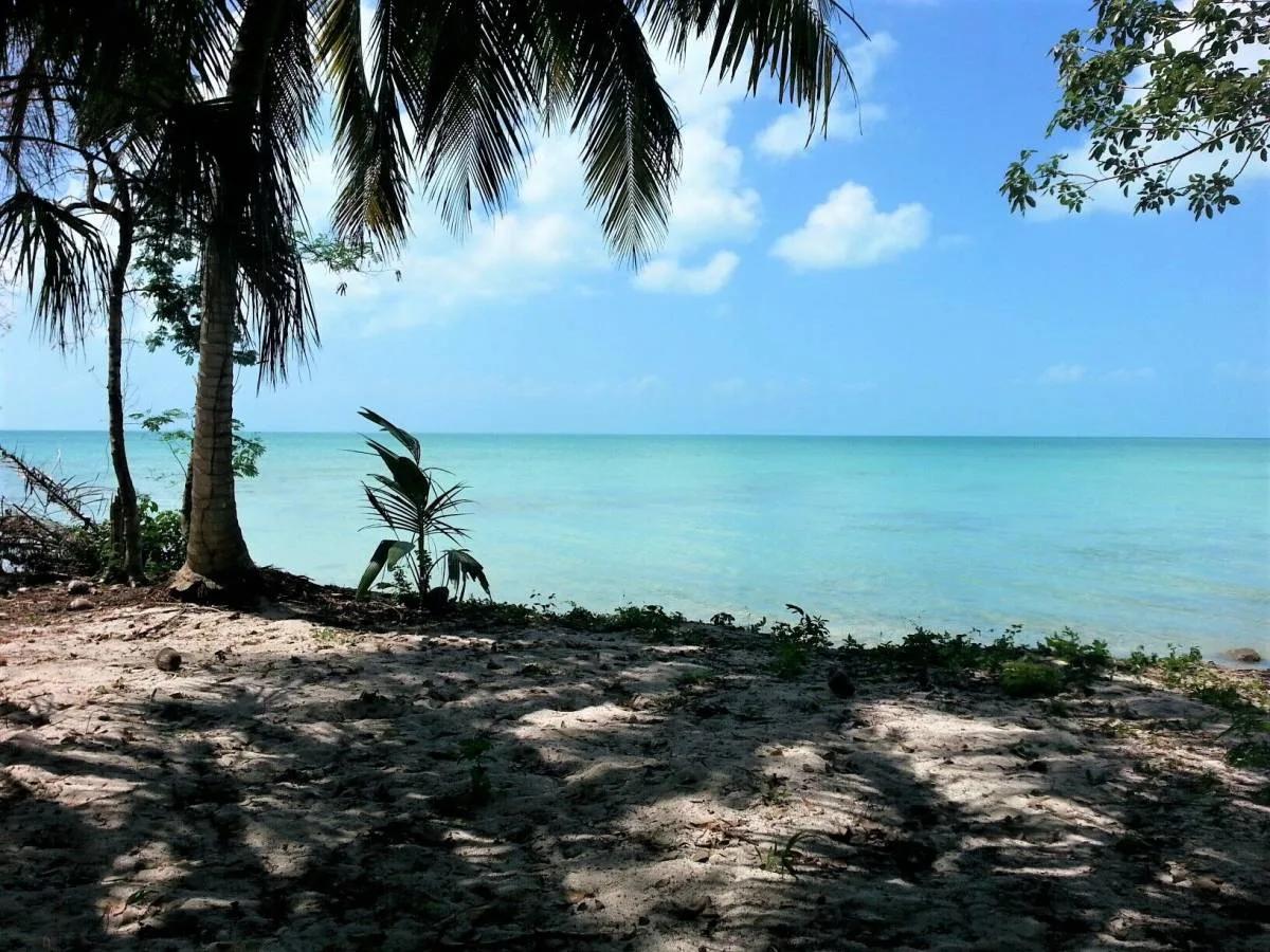 4 SeaFront Lots & 4 Adjacent Back Lots (8 Lots ) Package For Sale in Sarteneja. - Photo 5