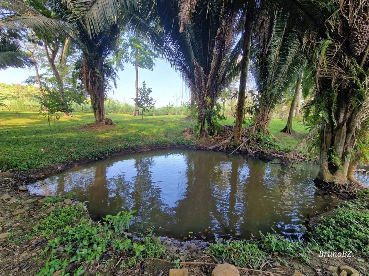Golden Opportunity to own a fabulous Caribbean Vacation Home - Photo 8
