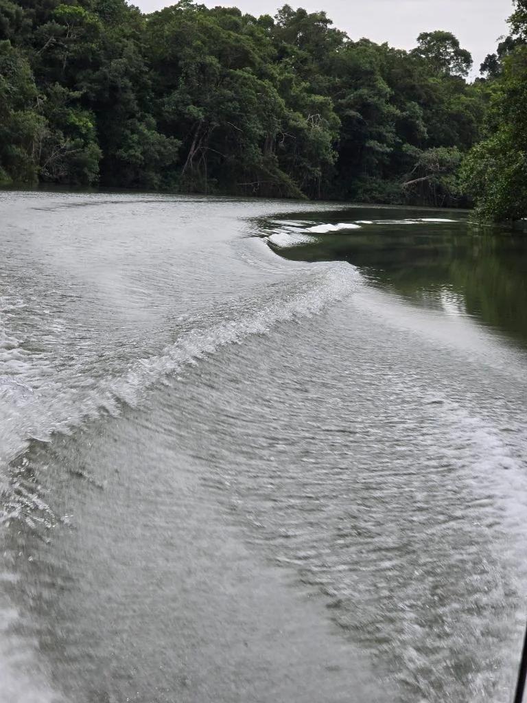 An Exceptional Investment Opportunity in Southern Belize! - Photo 2
