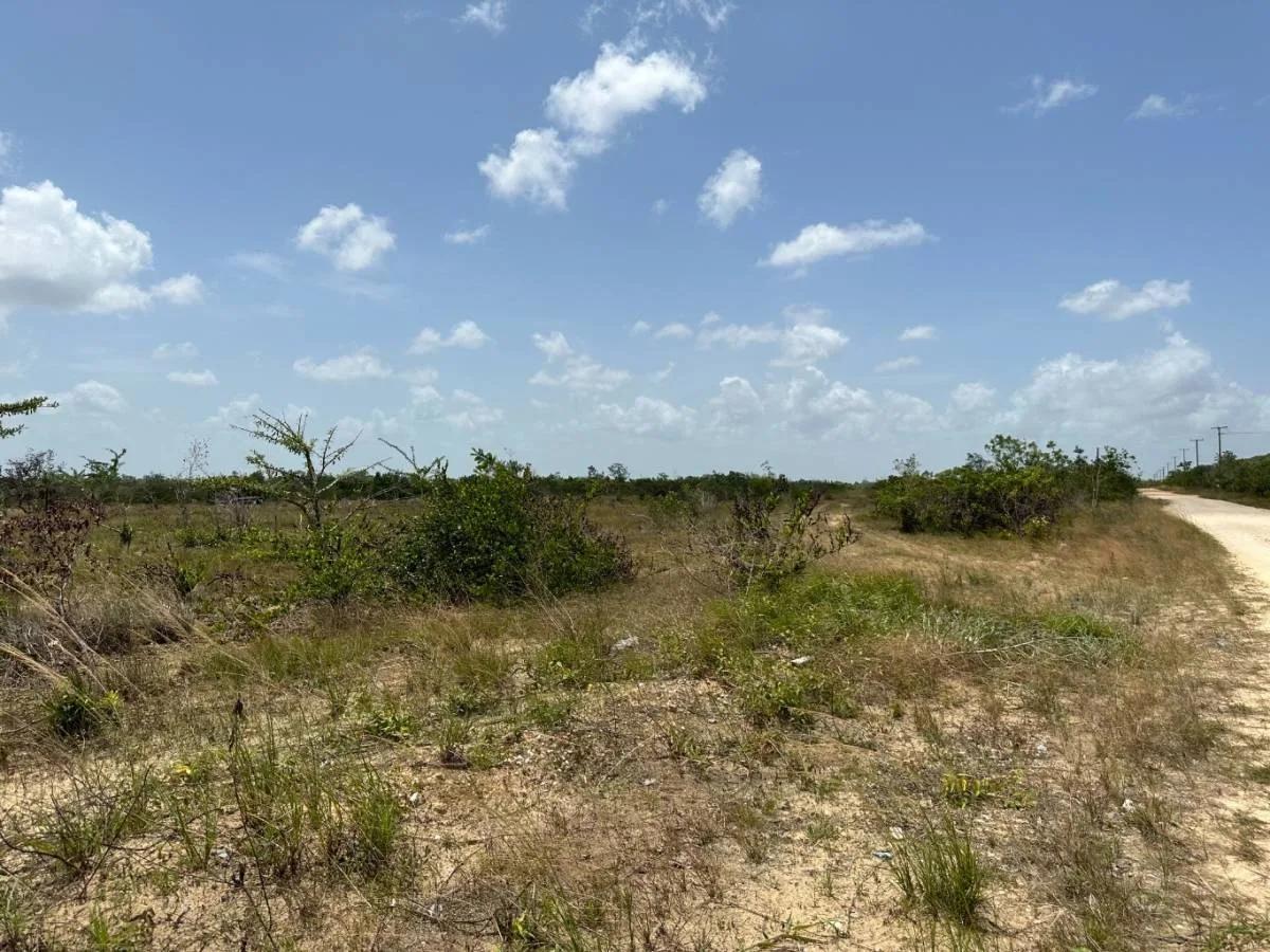 13.75 Acres of pure tranquility - Photo 3