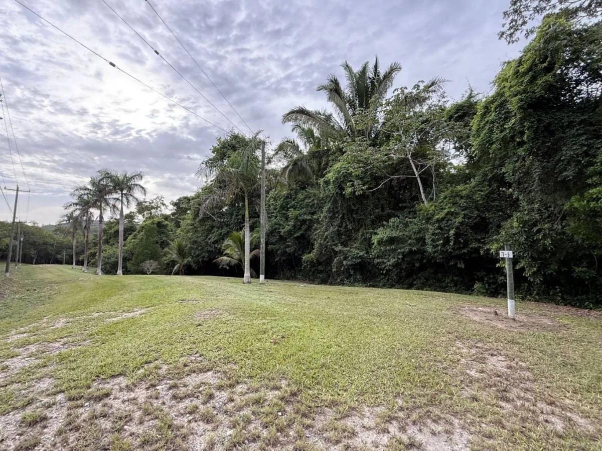 Investor’s Dream – 46+ Acres with Highway & River Frontage in Cristo Rey, Cayo District - Photo 5