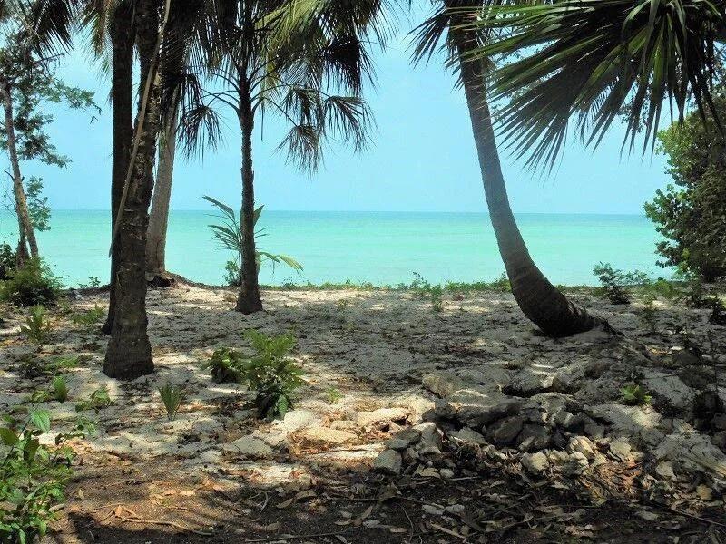 4 SeaFront Lots & 4 Adjacent Back Lots (8 Lots ) Package For Sale in Sarteneja. - Photo 4