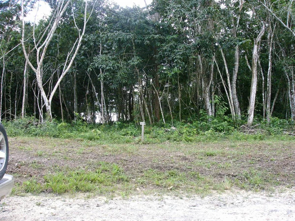 Progresso Heights Lagoon Front Lot - Photo 3