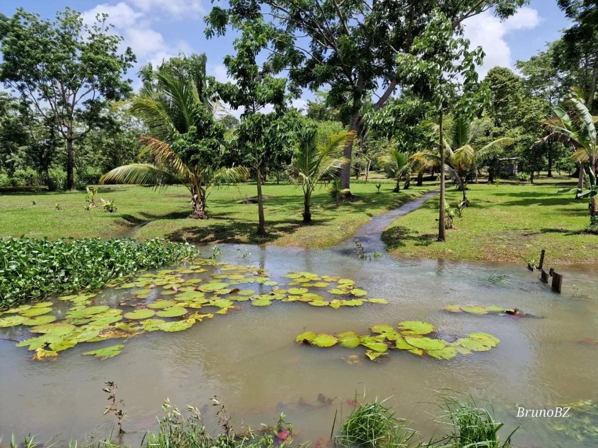 Now is the time to make your off-grid jungle living dreams come true.