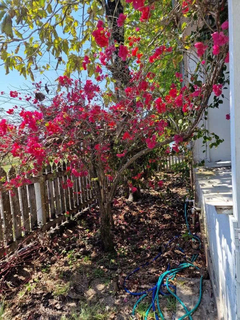 Gorgeous double Lot with single Home and ocean view in Punta Gorda for Sale - Photo 6