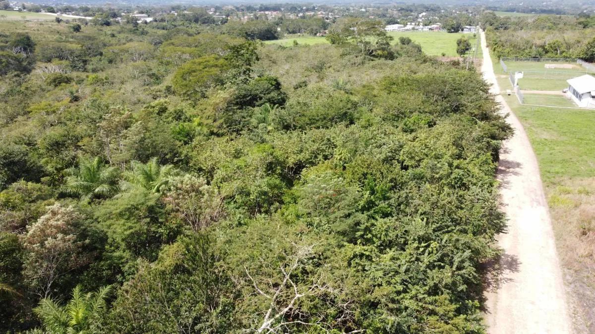 Residential Lot For Sale Esperanza, Cayo District - Photo 4