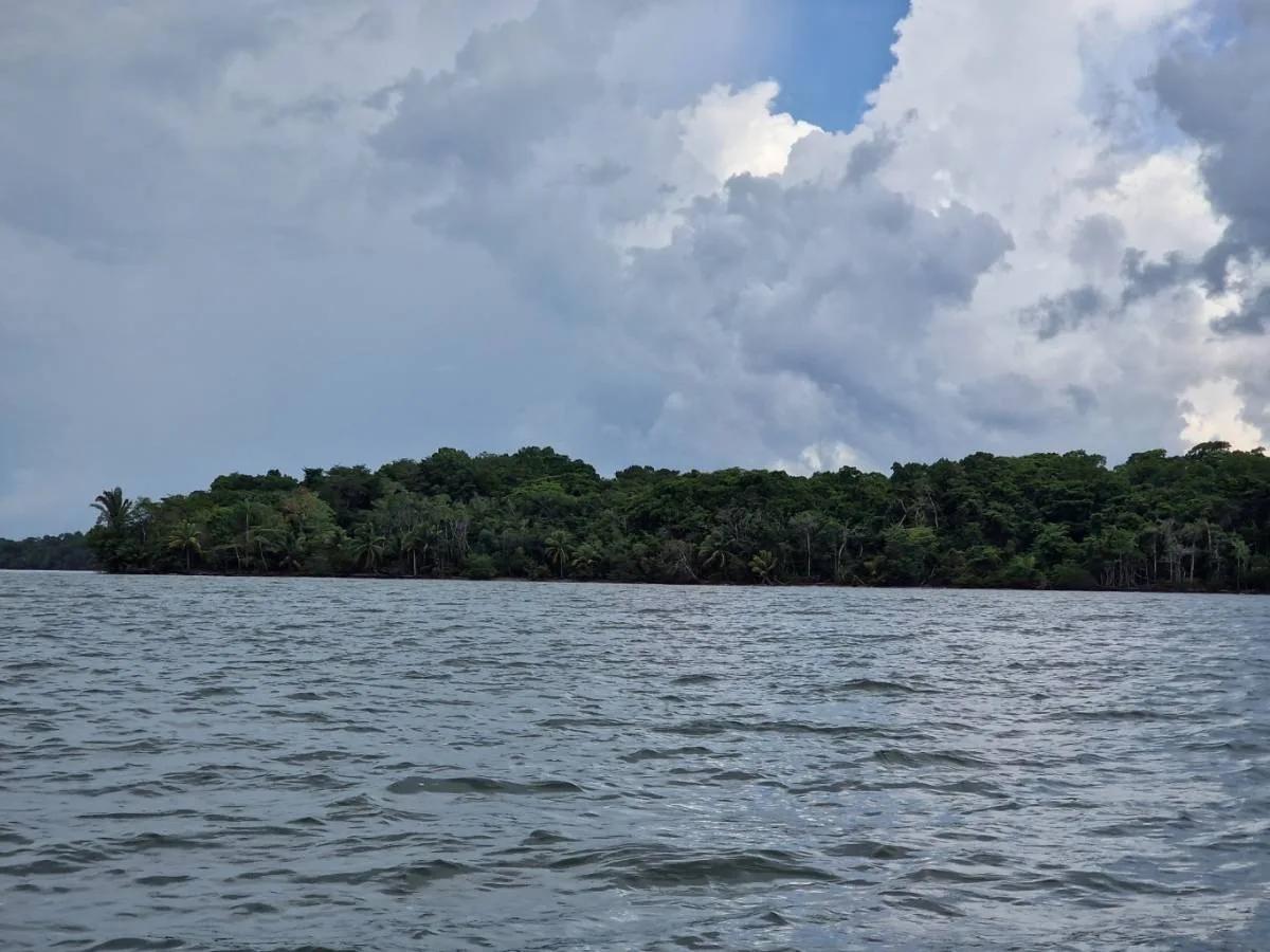 Searching for prime waterfront land for sale in Toledo ideal for development in a tranquil location? - Photo 4