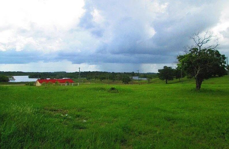 Progresso Heights Lot 75ft x 135 ft - Photo 2