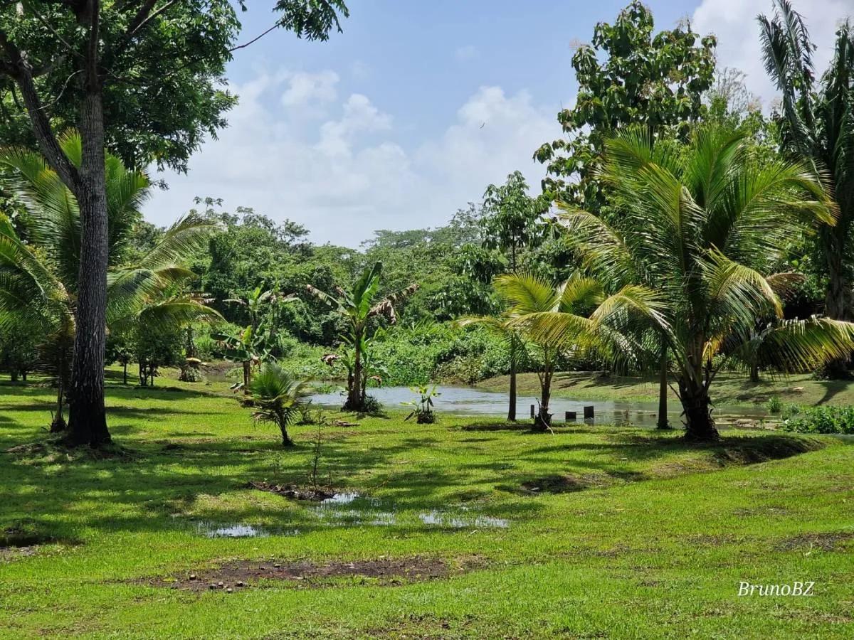 Now is the time to make your off-grid jungle living dreams come true. - Photo 2
