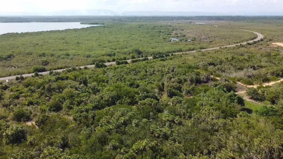 Caribbean Way Residential Lots Available in Placencia  !! - Photo 5