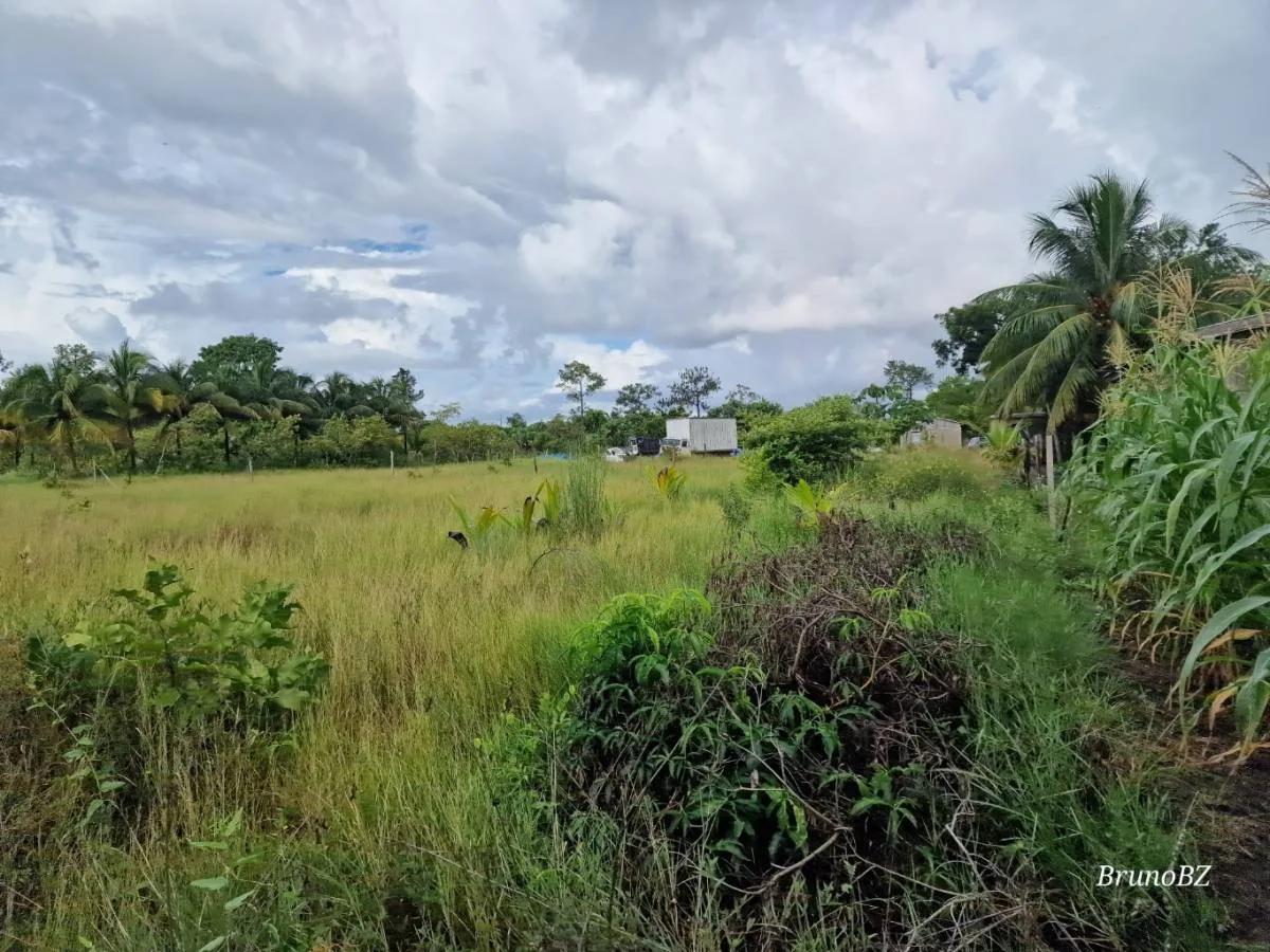 1 acre investment property in Bella Vista (Toledo) For Sale! - Photo 2