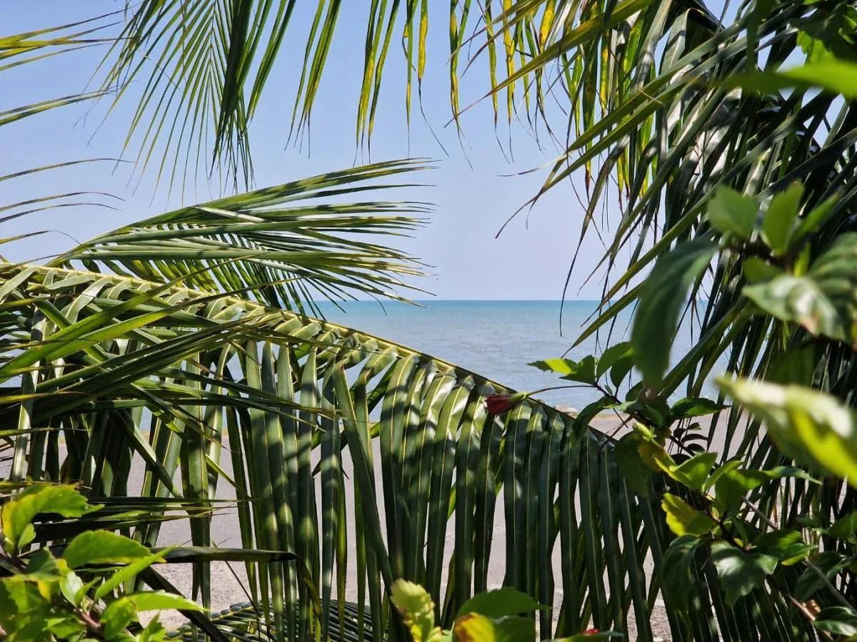 Gorgeous double Lot with single Home and ocean view in Punta Gorda for Sale - Photo 5