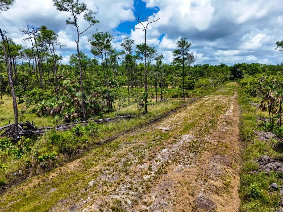Residential Lot in Silk Grass Village - Photo 5