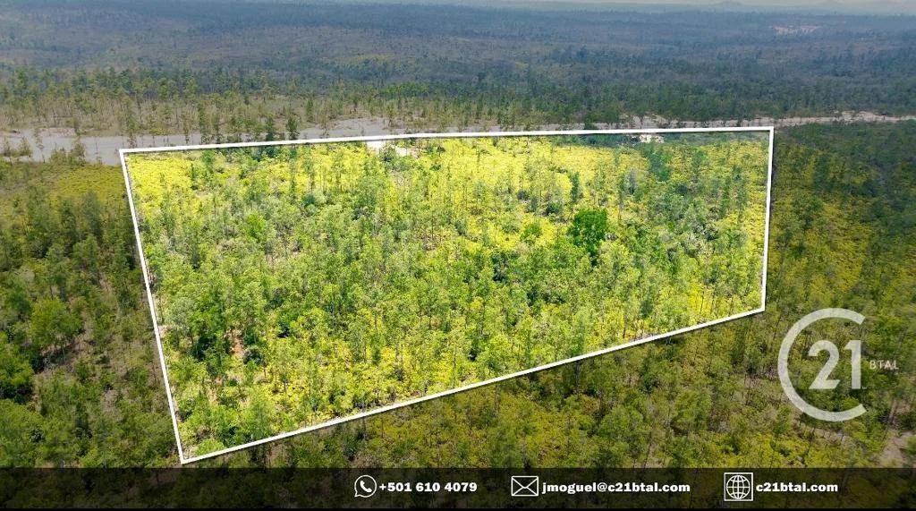 Serene and Expansive 9.78 Acres on Caracol Road, Just Minutes from Big Rock Waterfall! - Photo 4