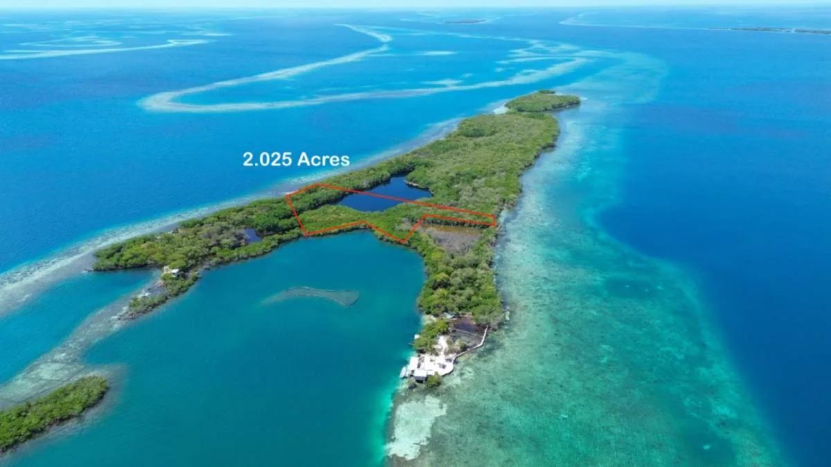 2.025 Acres of Serenity on South Saddle Caye - Photo 2