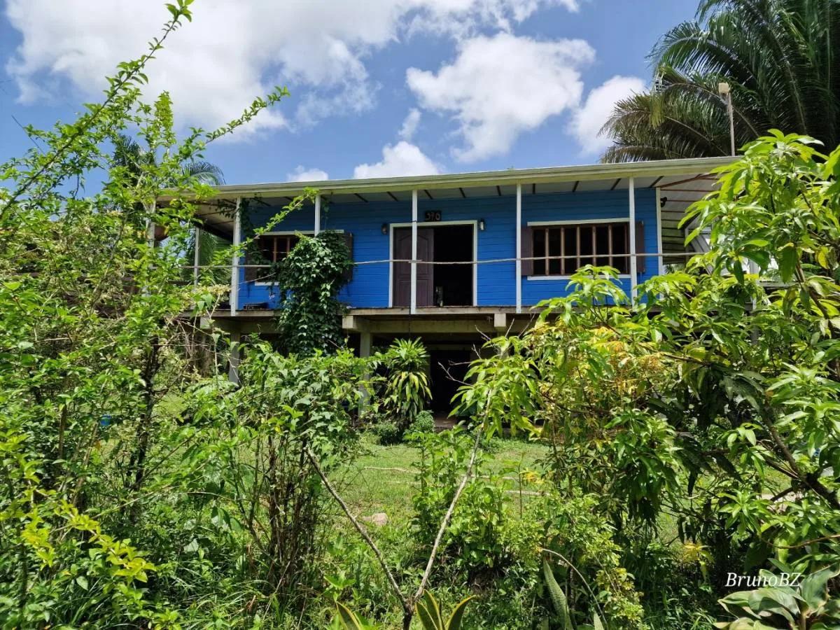 Now is the time to make your off-grid jungle living dreams come true. - Photo 6