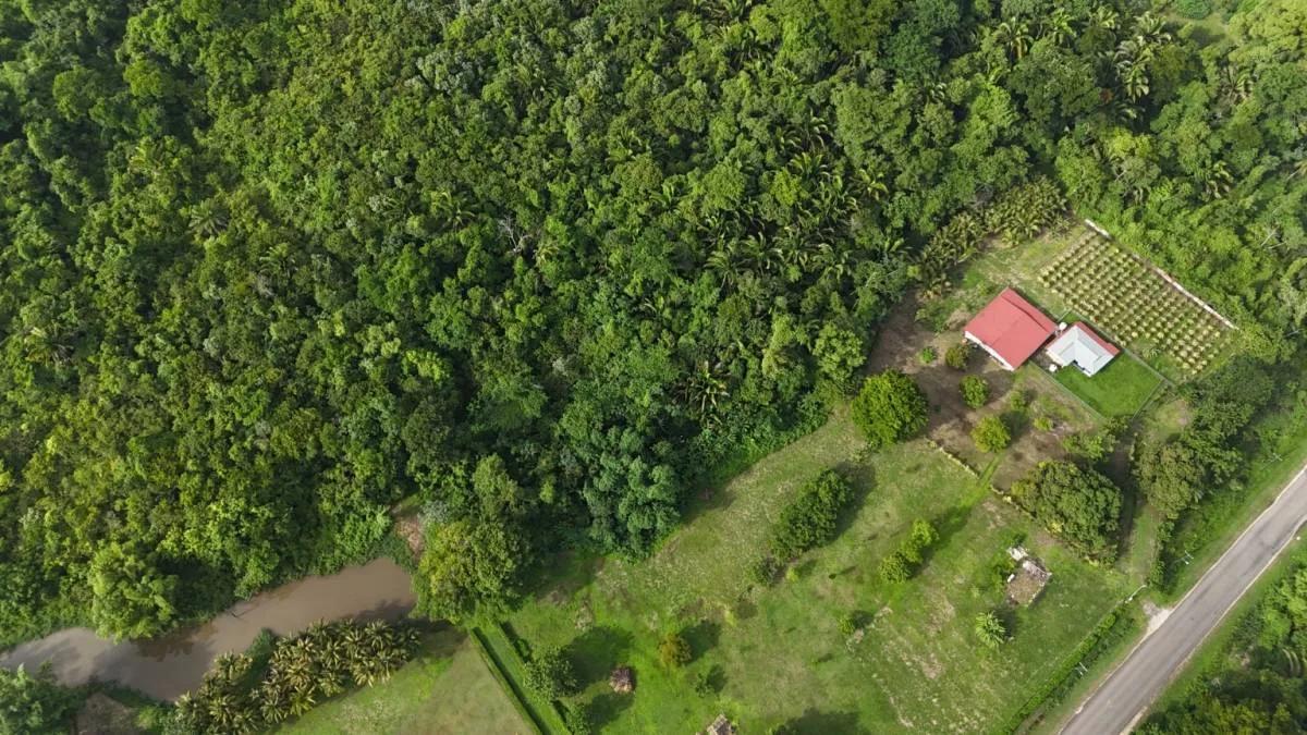 Rare Investment Opportunity Motel and Development Land (251 acres) in Southern Belize - Photo 4