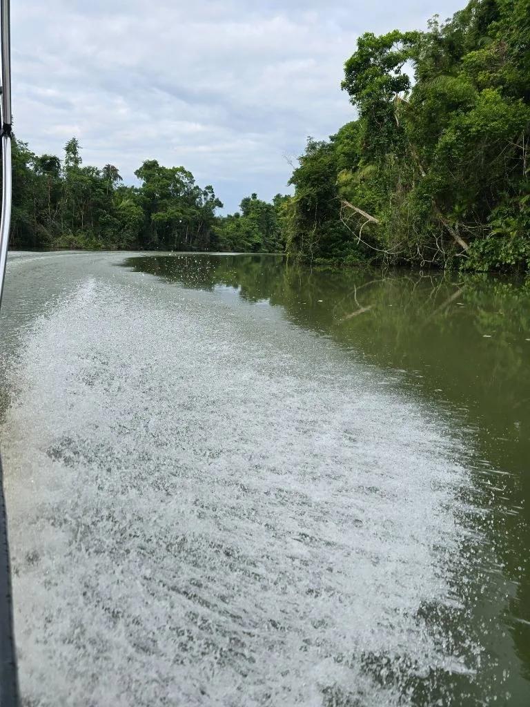 An Exceptional Investment Opportunity in Southern Belize! - Photo 7