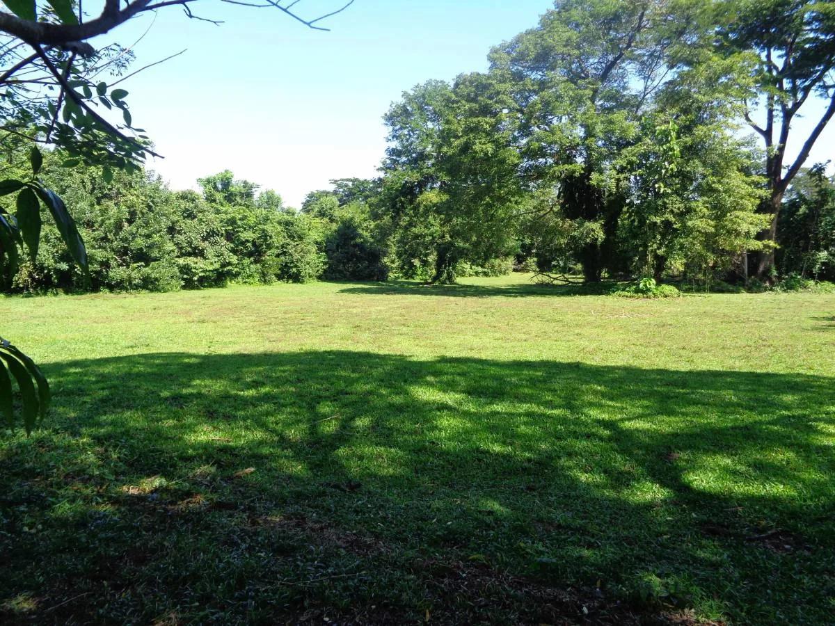 39+ magnificent acres of relatively high, fertile land in a tranquil and pristine setting. - Photo 2