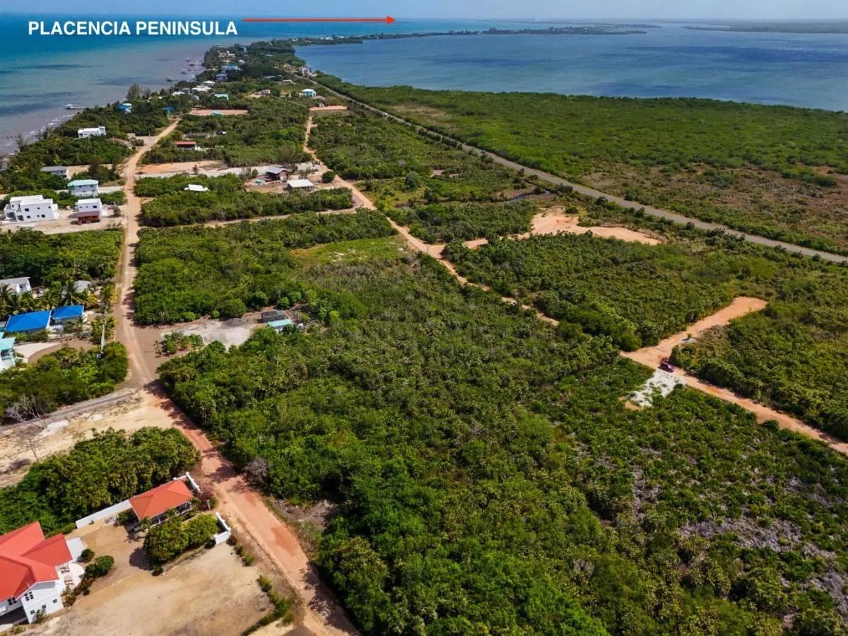 Triple Lot Opportunity (Over 1+ Acre) - Photo 8